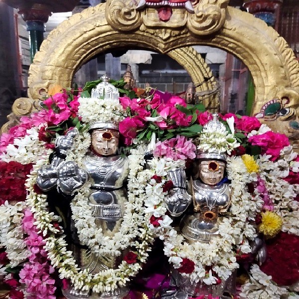திருவண்ணாமலை அருணாச்சலேஸ்வரர் கோவிலில் வைகாசி மாத அமாவாசை பிரதோஷம்! திருவண்ணாமலை அருணாச்சலேஸ்வரர் கோவிலில் வைகாசி மாத அமாவாசை பிரதோஷம்!