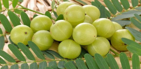Eating amla in excess can lead to these health problems, please take care!! Eating amla in excess can lead to these health problems, please take care!!
