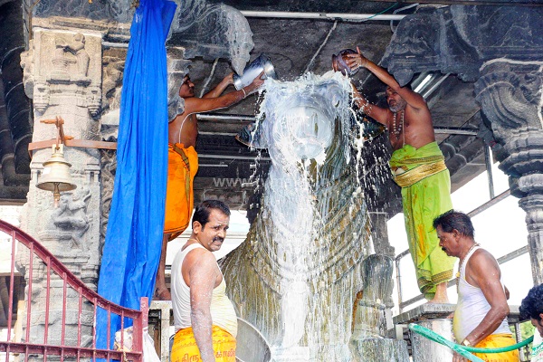 திருவண்ணாமலை அருணாச்சலேஸ்வரர் கோவிலில் வைகாசி மாத பௌர்ணமி பிரதோஷம்! திருவண்ணாமலை அருணாச்சலேஸ்வரர் கோவிலில் வைகாசி மாத பௌர்ணமி பிரதோஷம்!