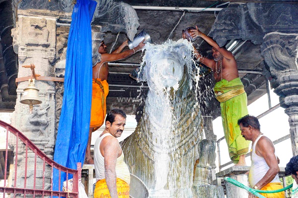 திருவண்ணாமலை அருணாச்சலேஸ்வரர் கோவிலில் வைகாசி மாத பௌர்ணமி பிரதோஷம்!