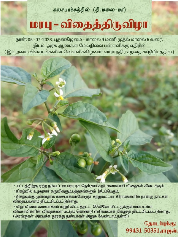 கலசபாக்கத்தில் நாளை மரபு விதைத்திருவிழா! கலசபாக்கத்தில் நாளை மரபு விதைத்திருவிழா!