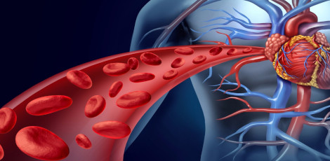 Are you aware of these foods that will increase oxygen supply in the blood?