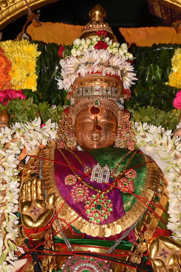 திருவண்ணாமலை அருள்மிகு அண்ணாமலையார் திருக்கோவிலில் நவராத்திரி முதல் நாள்! திருவண்ணாமலை அருள்மிகு அண்ணாமலையார் திருக்கோவிலில் நவராத்திரி முதல் நாள்!