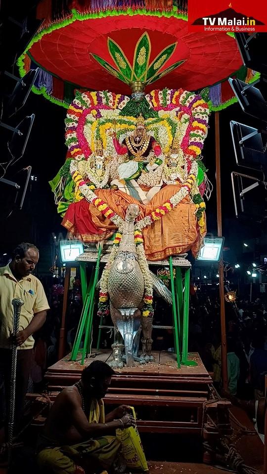 திருவண்ணாமலை கார்த்திகை தீபத் திருவிழா 2023 – நான்காம் நாள் இரவு! திருவண்ணாமலை கார்த்திகை தீபத் திருவிழா 2023 – நான்காம் நாள் இரவு!