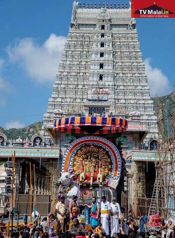 திருவண்ணாமலை கார்த்திகை தீபத் திருவிழா 2023 – ஐந்தாம் நாள் காலை! திருவண்ணாமலை கார்த்திகை தீபத் திருவிழா 2023 – ஐந்தாம் நாள் காலை!