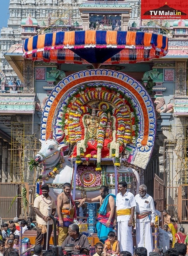 திருவண்ணாமலை கார்த்திகை தீபத் திருவிழா 2023 – ஐந்தாம் நாள் காலை! திருவண்ணாமலை கார்த்திகை தீபத் திருவிழா 2023 – ஐந்தாம் நாள் காலை!