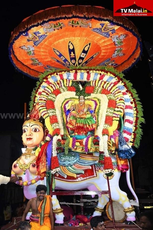 திருவண்ணாமலை அருள்மிகு அண்ணாமலையார் திருக்கோயிலில் தீபத் திருவிழாவை முன்னிட்டு ஸ்ரீ துர்க்கை அம்மன் திருவீதி உலா! திருவண்ணாமலை அருள்மிகு அண்ணாமலையார் திருக்கோயிலில் தீபத் திருவிழாவை முன்னிட்டு ஸ்ரீ துர்க்கை அம்மன் திருவீதி உலா!