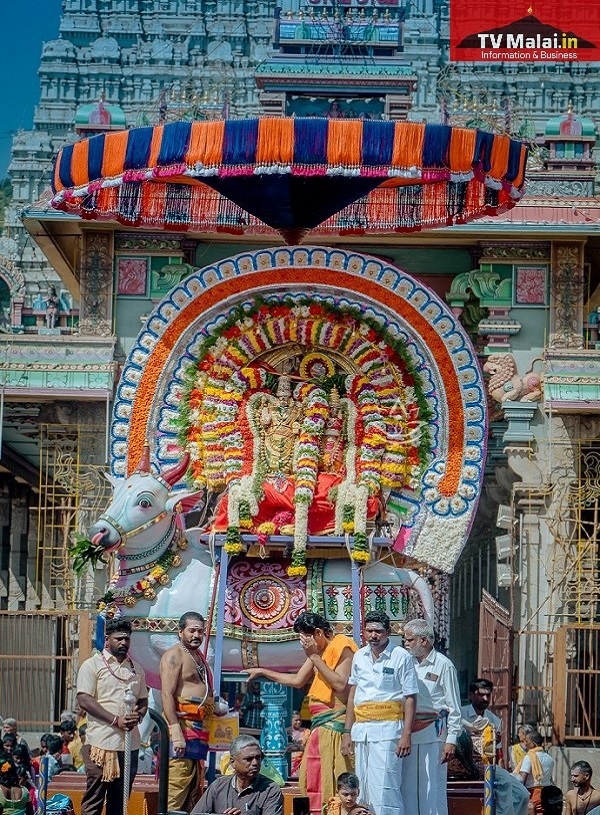 திருவண்ணாமலை கார்த்திகை தீபத் திருவிழா 2023 – ஐந்தாம் நாள் காலை! திருவண்ணாமலை கார்த்திகை தீபத் திருவிழா 2023 – ஐந்தாம் நாள் காலை!