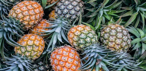 Do you know how excess intake of pineapples would affect our health?