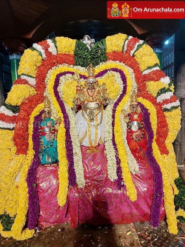 Festival begins with flag hoisting at Tiruvannamalai Annamalaiyar Temple on Karthikai Deepam 2023..!
