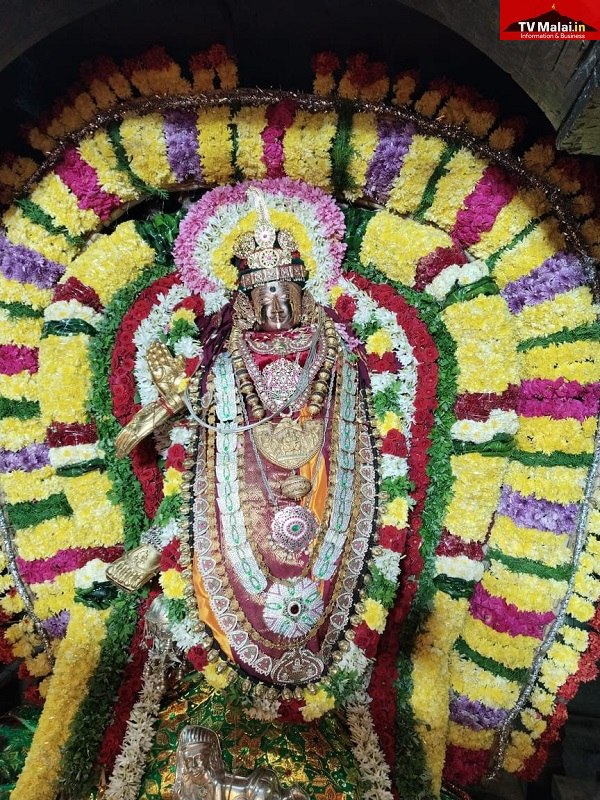 திருவண்ணாமலை அண்ணாமலையார் திருக்கோயில் இன்று (20.12.2023) மூன்றாம் நாள் உற்சவம்! திருவண்ணாமலை அண்ணாமலையார் திருக்கோயில் இன்று (20.12.2023) மூன்றாம் நாள் உற்சவம்!