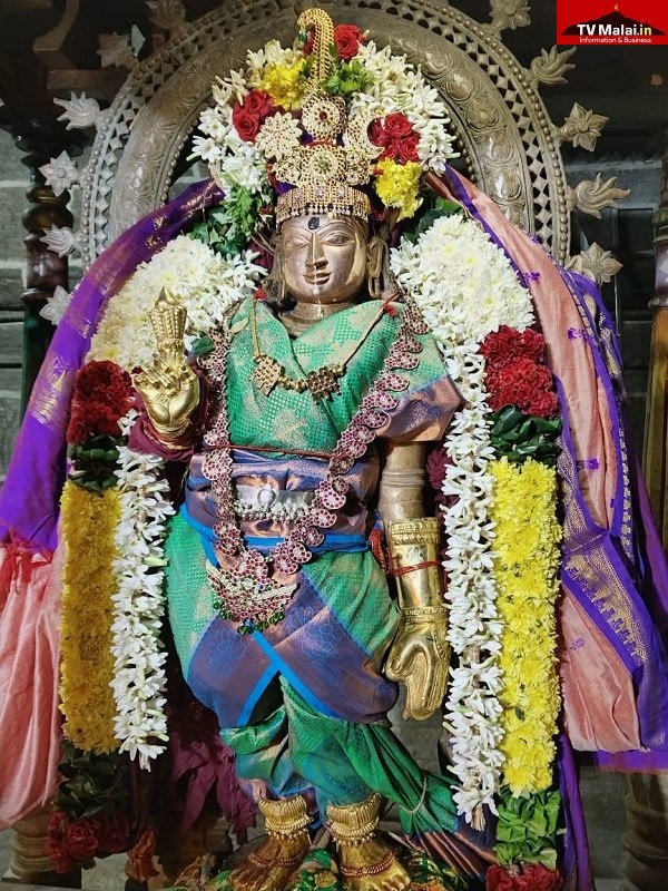 திருவண்ணாமலை அண்ணாமலையார் திருக்கோயில் இன்று (20.12.2023) மூன்றாம் நாள் உற்சவம்! திருவண்ணாமலை அண்ணாமலையார் திருக்கோயில் இன்று (20.12.2023) மூன்றாம் நாள் உற்சவம்!