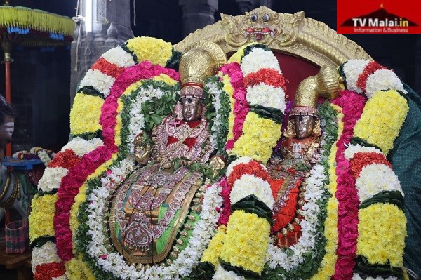 அண்ணாமலையார் திருக்கோயிலில் நேற்று (12.01.2024 ) உத்திராயண காலம் பிரம்மோற்சவம் 7 – ஆம் நாள் காலை!