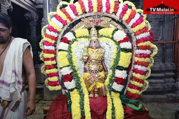 அண்ணாமலையார் திருக்கோயிலில் நேற்று (12.01.2024 ) உத்திராயண காலம் பிரம்மோற்சவம் 7 – ஆம் நாள் காலை!