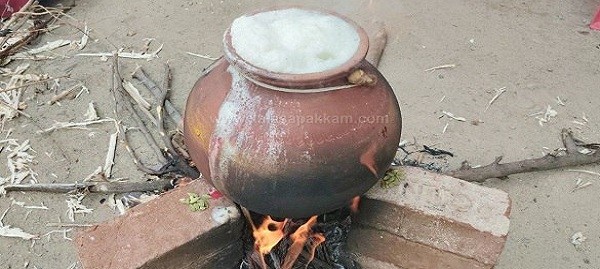 கலசபாக்கம்.காம் / JB Soft System பணியாளர்கள் குழந்தைகளுடன் இணைந்து JB FARM – இல் பொங்கல் விழா கொண்டாட்டம்! கலசபாக்கம்.காம் / JB Soft System பணியாளர்கள் குழந்தைகளுடன் இணைந்து JB FARM – இல் பொங்கல் விழா கொண்டாட்டம்!