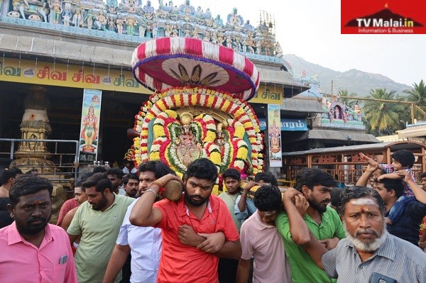அண்ணாமலையார் திருக்கோயிலில் நேற்று (12.01.2024 ) உத்திராயண காலம் பிரம்மோற்சவம் 7 – ஆம் நாள் காலை!