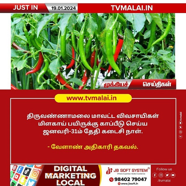 திருவண்ணாமலை மாவட்ட விவசாயிகள் மிளகாய் பயிருக்கு காப்பீடு செய்ய ஜனவரி-31ம் தேதி கடைசி நாள்! திருவண்ணாமலை மாவட்ட விவசாயிகள் மிளகாய் பயிருக்கு காப்பீடு செய்ய ஜனவரி-31ம் தேதி கடைசி நாள்!