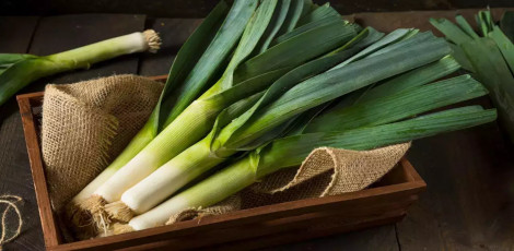 What can intake of leeks do to our health? What can intake of leeks do to our health?