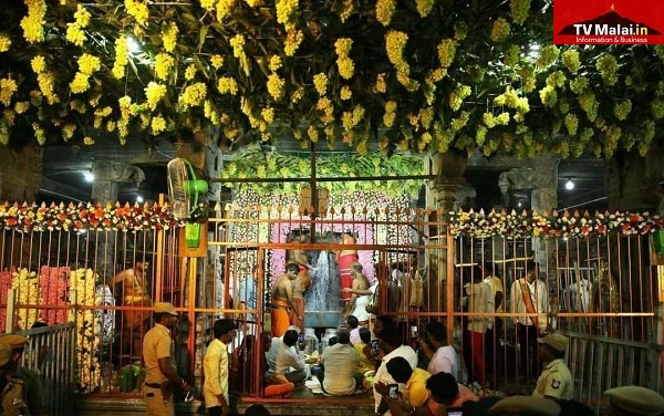 திருவண்ணாமலை அண்ணாமலையார் கோயிலில் மகா சிவராத்திரி முன்னிட்டு லிங்கோத்பவருக்கு சிறப்பு அபிஷேக ஆராதனை!