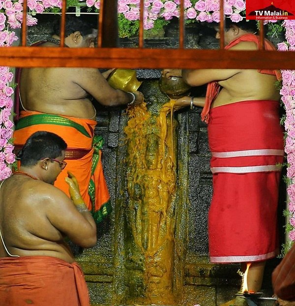 திருவண்ணாமலை அண்ணாமலையார் கோயிலில் மகா சிவராத்திரி முன்னிட்டு லிங்கோத்பவருக்கு சிறப்பு அபிஷேக ஆராதனை!