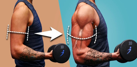 Know about these important foods that we must eat for muscle growth!! Know about these important foods that we must eat for muscle growth!!