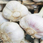 Do you know these fabulous benefits of keeping garlic clove under the pillow?