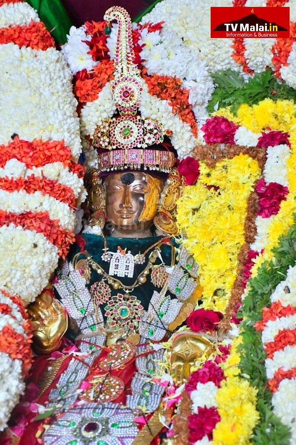 திருவண்ணாமலை அருள்மிகு அருணாசலேஸ்வரர் திருக்கோயில் சித்திரை வசந்த உற்சவம் – Day 9 திருவண்ணாமலை அருள்மிகு அருணாசலேஸ்வரர் திருக்கோயில் சித்திரை வசந்த உற்சவம் – Day 9