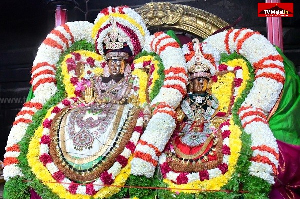 திருவண்ணாமலை அருள்மிகு அருணாசலேஸ்வரர் திருக்கோயில் சித்திரை வசந்த உற்சவம் – Day 9 திருவண்ணாமலை அருள்மிகு அருணாசலேஸ்வரர் திருக்கோயில் சித்திரை வசந்த உற்சவம் – Day 9