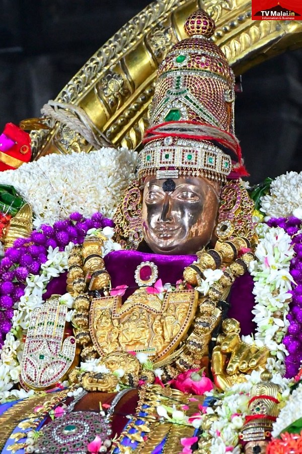 திருவண்ணாமலை அருள்மிகு அருணாசலேஸ்வரர் திருக்கோயில் சித்திரை வசந்த உற்சவம் நான்காம் நாள்! திருவண்ணாமலை அருள்மிகு அருணாசலேஸ்வரர் திருக்கோயில் சித்திரை வசந்த உற்சவம் நான்காம் நாள்!