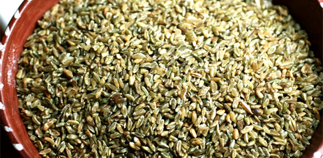 Are you aware of these health benefits of consuming superfood freekeh or green wheat?