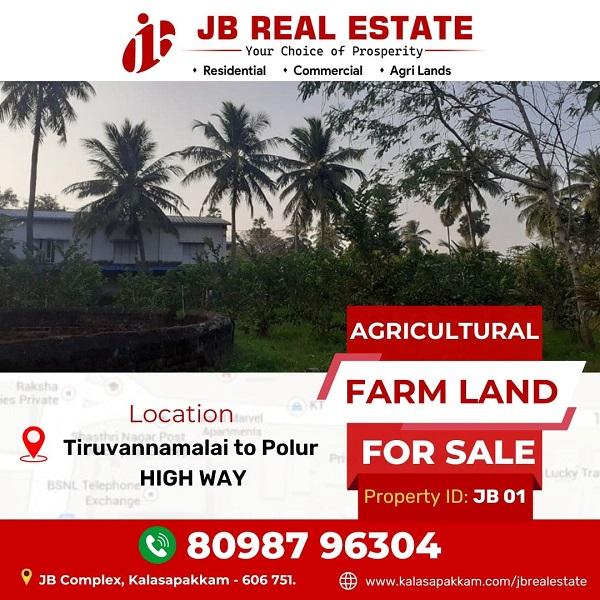 Agricultural Farm Land For Sale! to Thiruvannamalai