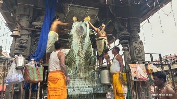 திருவண்ணாமலை அருணாச்சலேஸ்வரர் கோவிலில் கார்த்திகை மாத அமாவாசை பிரதோஷம்! திருவண்ணாமலை அருணாச்சலேஸ்வரர் கோவிலில் கார்த்திகை மாத அமாவாசை பிரதோஷம்!