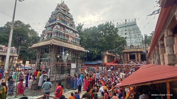 திருவண்ணாமலை அருணாச்சலேஸ்வரர் கோவிலில் கார்த்திகை மாத அமாவாசை பிரதோஷம்! திருவண்ணாமலை அருணாச்சலேஸ்வரர் கோவிலில் கார்த்திகை மாத அமாவாசை பிரதோஷம்!