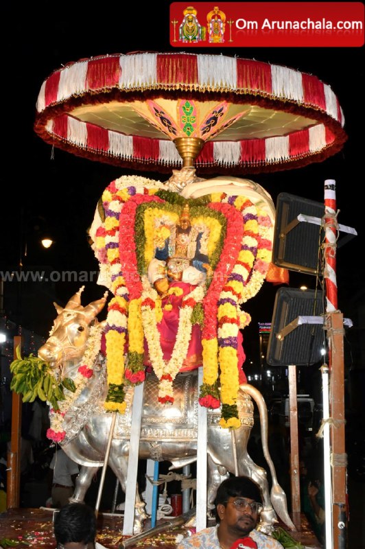 திருவண்ணாமலை கார்த்திகை தீபத் திருவிழா 2024 – நான்காம் நாள் இரவு! திருவண்ணாமலை கார்த்திகை தீபத் திருவிழா 2024 – நான்காம் நாள் இரவு!