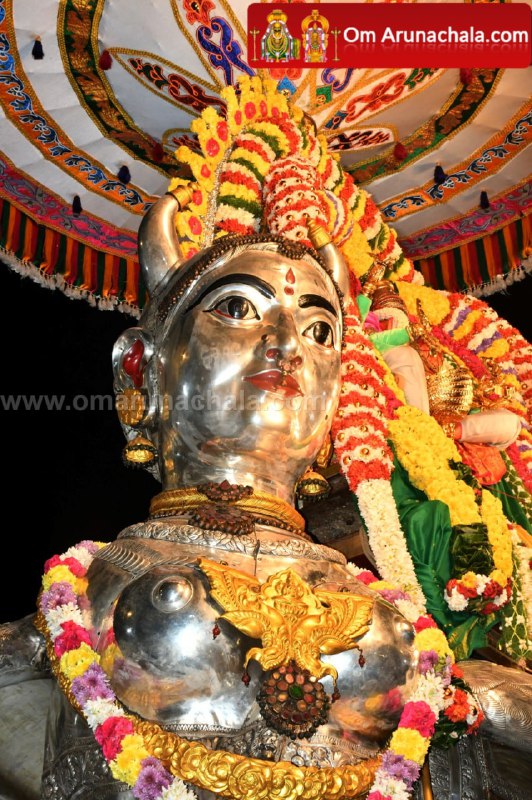 திருவண்ணாமலை கார்த்திகை தீபத் திருவிழா 2024 – நான்காம் நாள் இரவு! திருவண்ணாமலை கார்த்திகை தீபத் திருவிழா 2024 – நான்காம் நாள் இரவு!