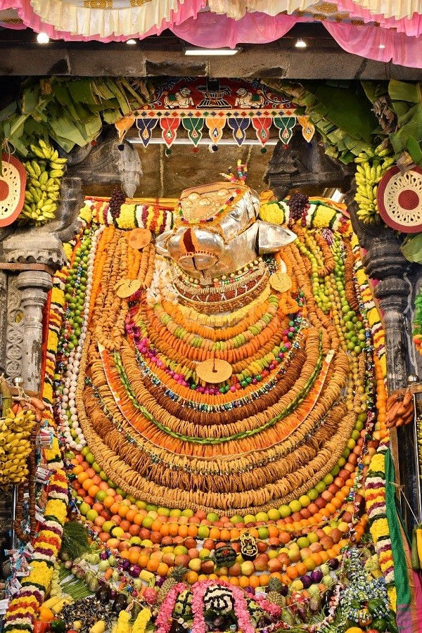 அண்ணாமலையார் கோவிலில் மாட்டுப்பொங்கலை முன்னிட்டு பெரிய நந்தி பகவானுக்கு சிறப்பு அலங்காரம்! அண்ணாமலையார் கோவிலில் மாட்டுப்பொங்கலை முன்னிட்டு பெரிய நந்தி பகவானுக்கு சிறப்பு அலங்காரம்!