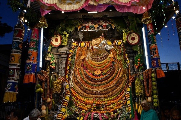 அண்ணாமலையார் கோவிலில் மாட்டுப்பொங்கலை முன்னிட்டு பெரிய நந்தி பகவானுக்கு சிறப்பு அலங்காரம்! அண்ணாமலையார் கோவிலில் மாட்டுப்பொங்கலை முன்னிட்டு பெரிய நந்தி பகவானுக்கு சிறப்பு அலங்காரம்!