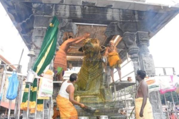 திருவண்ணாமலை அருணாச்சலேஸ்வரர் கோவிலில் தை மாத அமாவாசை பிரதோஷம்! திருவண்ணாமலை அருணாச்சலேஸ்வரர் கோவிலில் தை மாத அமாவாசை பிரதோஷம்!