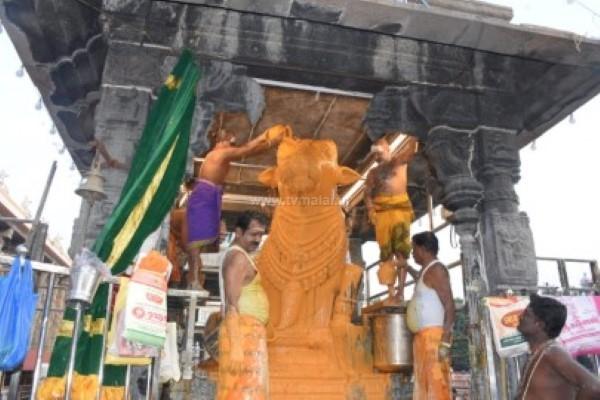 திருவண்ணாமலை அருணாச்சலேஸ்வரர் கோவிலில் தை மாத அமாவாசை பிரதோஷம்! திருவண்ணாமலை அருணாச்சலேஸ்வரர் கோவிலில் தை மாத அமாவாசை பிரதோஷம்!