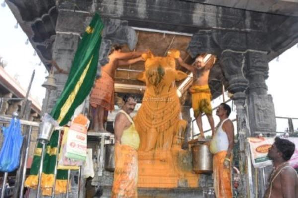 திருவண்ணாமலை அருணாச்சலேஸ்வரர் கோவிலில் தை மாத அமாவாசை பிரதோஷம்! திருவண்ணாமலை அருணாச்சலேஸ்வரர் கோவிலில் தை மாத அமாவாசை பிரதோஷம்!