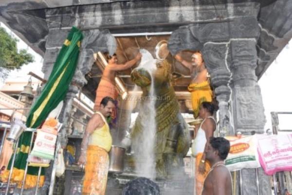 திருவண்ணாமலை அருணாச்சலேஸ்வரர் கோவிலில் தை மாத அமாவாசை பிரதோஷம்! திருவண்ணாமலை அருணாச்சலேஸ்வரர் கோவிலில் தை மாத அமாவாசை பிரதோஷம்!