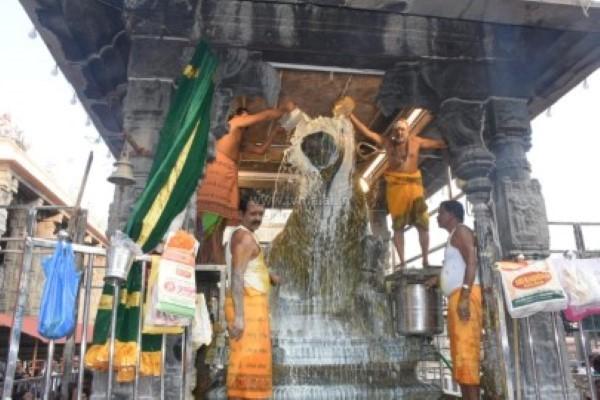 திருவண்ணாமலை அருணாச்சலேஸ்வரர் கோவிலில் தை மாத அமாவாசை பிரதோஷம்! திருவண்ணாமலை அருணாச்சலேஸ்வரர் கோவிலில் தை மாத அமாவாசை பிரதோஷம்!