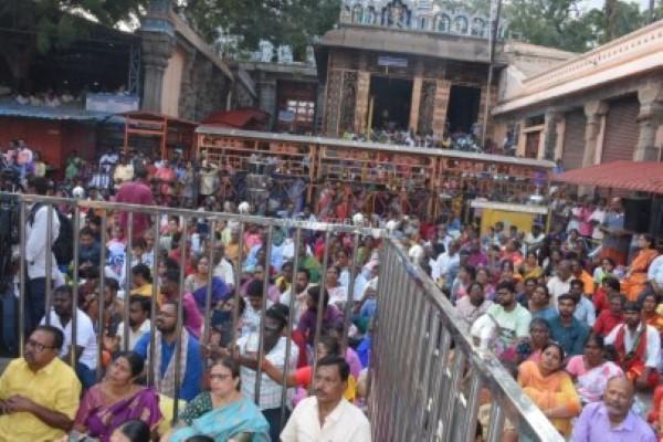 திருவண்ணாமலை அருணாச்சலேஸ்வரர் கோவிலில் தை மாத அமாவாசை பிரதோஷம்! திருவண்ணாமலை அருணாச்சலேஸ்வரர் கோவிலில் தை மாத அமாவாசை பிரதோஷம்!