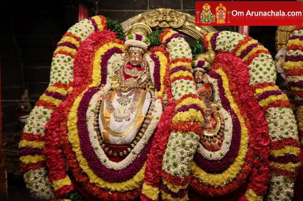 திருவண்ணாமலை அண்ணாமலையார் திருக்கோயிலில் நேற்று மகுடாபிஷேகம்! திருவண்ணாமலை அண்ணாமலையார் திருக்கோயிலில் நேற்று மகுடாபிஷேகம்!