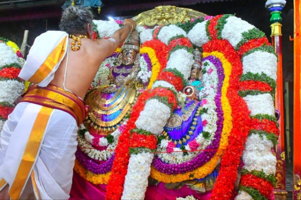 திருவண்ணாமலை அண்ணாமலையார் திருக்கோவிலில் பங்குனி உத்திர திருக்கல்யாண வைபவம்! திருவண்ணாமலை அண்ணாமலையார் திருக்கோவிலில் பங்குனி உத்திர திருக்கல்யாண வைபவம்!