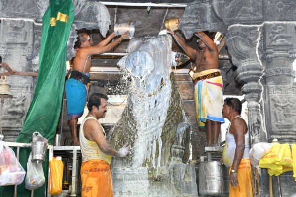 திருவண்ணாமலை அருணாச்சலேஸ்வரர் கோவிலில் பங்குனி மாத பௌர்ணமி பிரதோஷம்! திருவண்ணாமலை அருணாச்சலேஸ்வரர் கோவிலில் பங்குனி மாத பௌர்ணமி பிரதோஷம்!