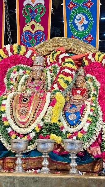 திருவண்ணாமலை அருள்மிகு அருணாசலேஸ்வரர் திருக்கோவில் ஊஞ்சல் உற்சவம்! திருவண்ணாமலை அருள்மிகு அருணாசலேஸ்வரர் திருக்கோவில் ஊஞ்சல் உற்சவம்!