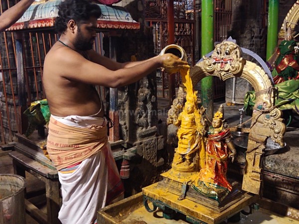 திருவண்ணாமலை அருணாச்சலேஸ்வரர் கோவிலில் சித்திரை மாத அமாவாசை பிரதோஷம்!
