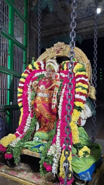 திருவண்ணாமலை அருள்மிகு அருணாசலேஸ்வரர் திருக்கோவில் ஊஞ்சல் உற்சவம்! திருவண்ணாமலை அருள்மிகு அருணாசலேஸ்வரர் திருக்கோவில் ஊஞ்சல் உற்சவம்!