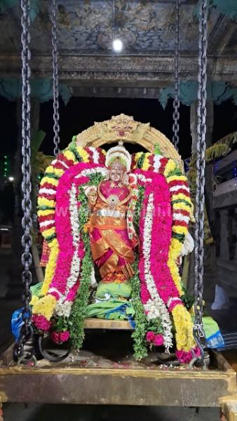 திருவண்ணாமலை அருள்மிகு அருணாசலேஸ்வரர் திருக்கோவில் ஊஞ்சல் உற்சவம்! திருவண்ணாமலை அருள்மிகு அருணாசலேஸ்வரர் திருக்கோவில் ஊஞ்சல் உற்சவம்!